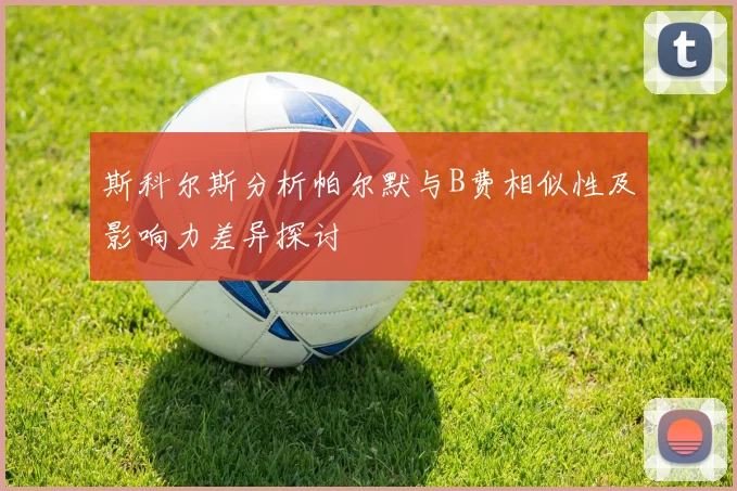 斯科尔斯分析帕尔默与B费相似性及影响力差异探讨
